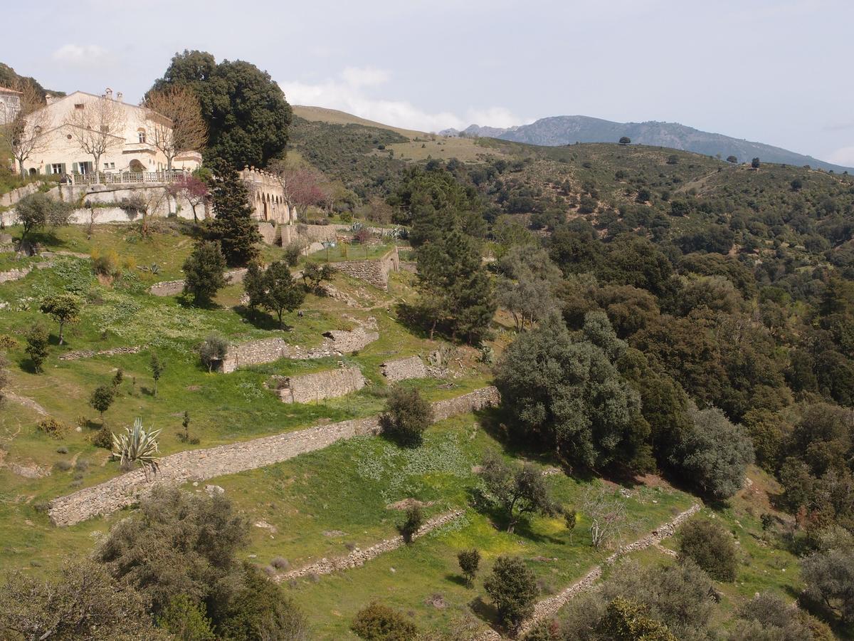 לינה וארוחת בוקר Moltifao La Ventulella מראה חיצוני תמונה